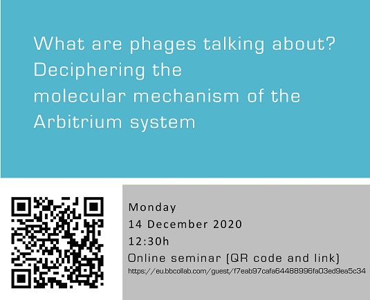 What are phages talking about? Deciphering the molecular mechanism of the Arbitrium system